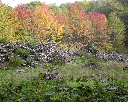 PXL032 couleurs d'automne