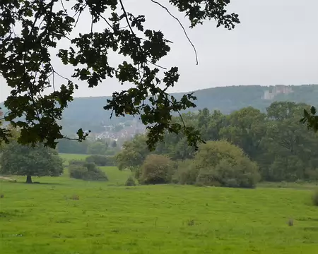 PXL015 Chevreuse et le Château de la Madeleine.