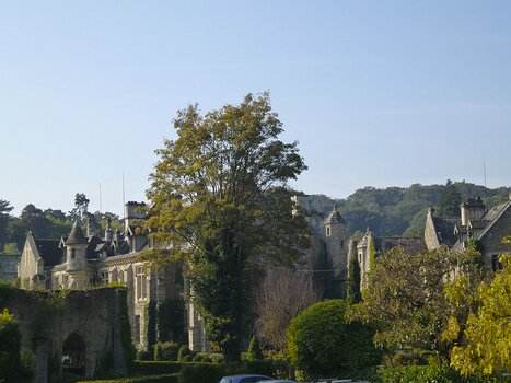 Dominique Dominique F, détail sortie