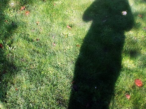 Estelle Estelle C, détail sortie