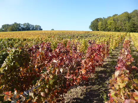 2015-10 Vallée de la Marne