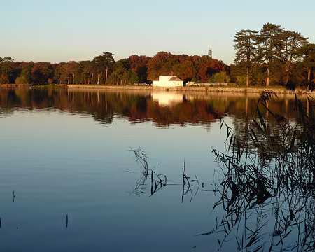 PXL050 Etang des Noés