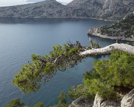 015 Pique-nique panoramique