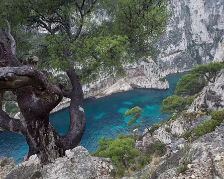 036 Turquoise de la calanque de Port-Pin