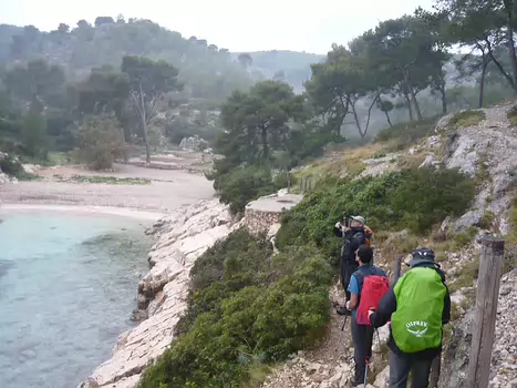 Patrice Patrice M, détail sortie