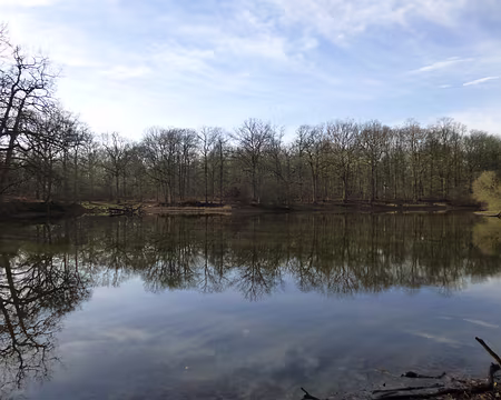 PXL004 Le Petit Etang Neuf