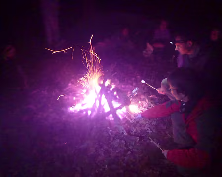 PXL006 Chamallow- partie