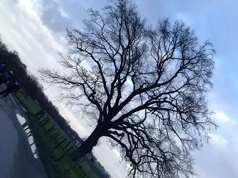 2016-01 Bures-sur-Yvette