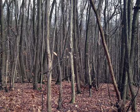 01 Sur les hauteurs de Gif-sur-Yvette