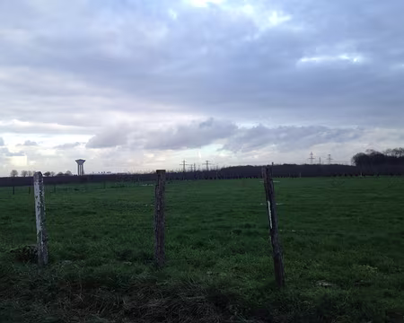 14 Vue sur le plateau