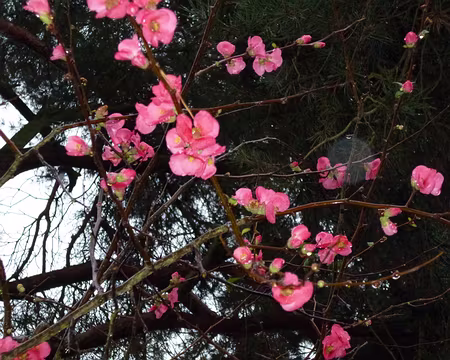 PXL013z1833 Merci à Jean-Claude pour cette 8è étape du tour de l'Ile de France de Houdan à Orgérus.