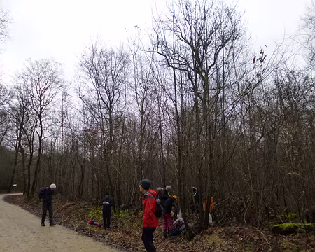 PXL008 Bois du Déluge