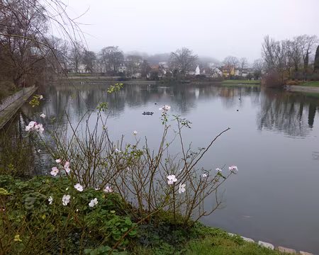 PXL000 Etang Colbert, situé au Plessis-Robinson, creusé sur ordre de Colbert et destiné à alimenter en eau les bassins du parc de Sceaux.
