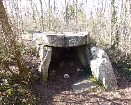 PXL005 Dolmen de Janville-sur-Juine. Chambre funéraire datant du Néolithique.