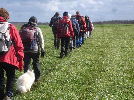 Camille Camille H, détail sortie
