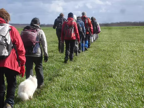 Camille Camille H, détail sortie