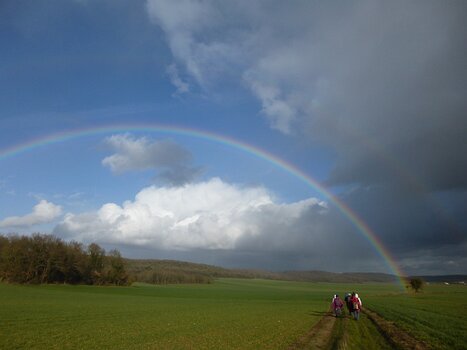 Dominique Dominique F, détail sortie