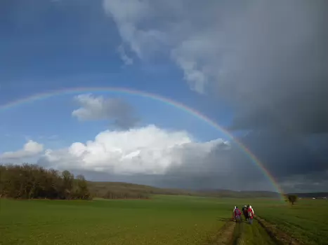 Dominique Dominique F, détail sortie