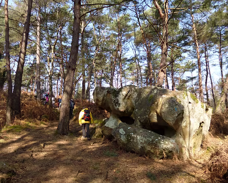 PXL003 Sentier bleu...