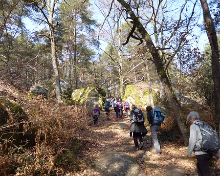 PXL008 Rocher Cuvier-Châtillon