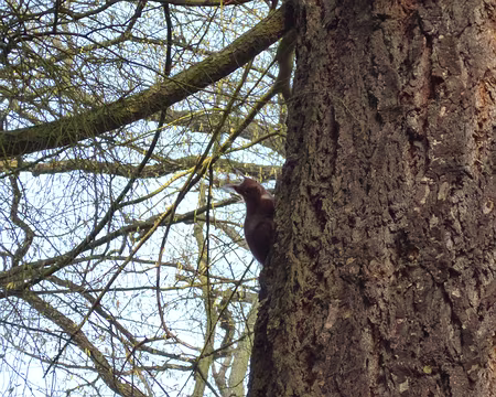 PXL010 Merci à Claude.