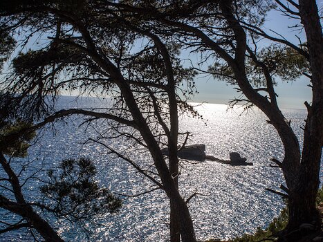 Florence Florence LP, détail sortie