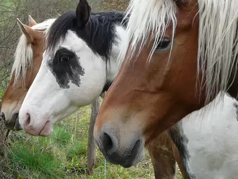 Christian Christian D, détail sortie