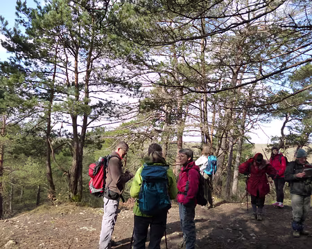 PXL003 Forêt de Milly