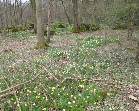 PXL008 Merci à Claude pour cette rando printanière.