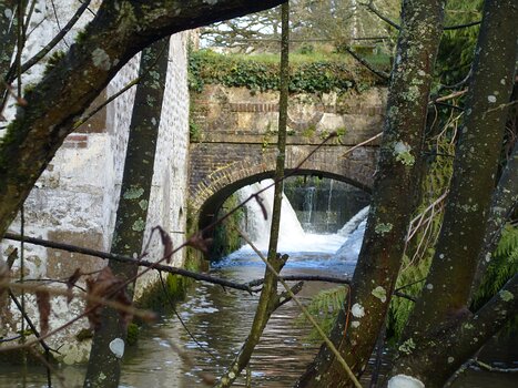 Dominique Dominique F, détail sortie