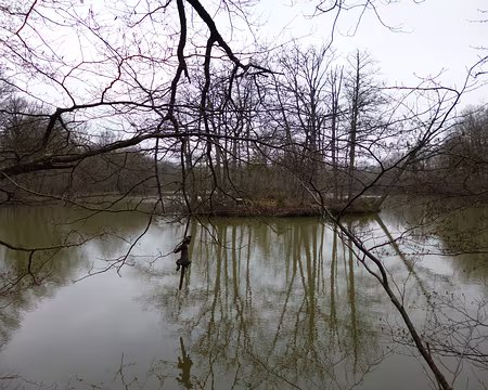 PXL014 Etang de la Plaine en forêt de Rambouillet.