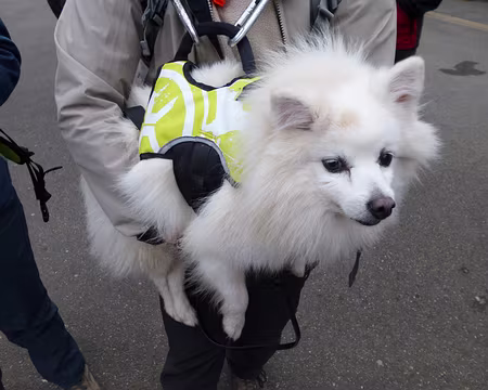 PXL020 Soja. Merci à Jean-Claude pour la 10è étape du Tour de l'Ile de France, de Montfort-l'Amaury à Coignières.