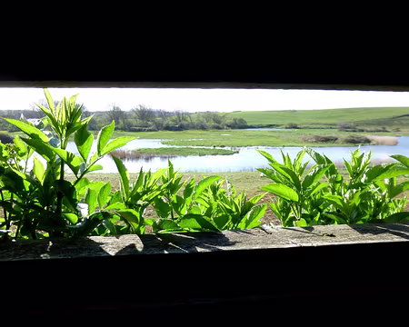 PXL033 Ici on observe les oiseaux