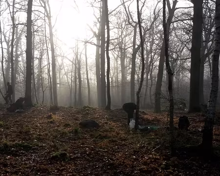 PXL042 User comments