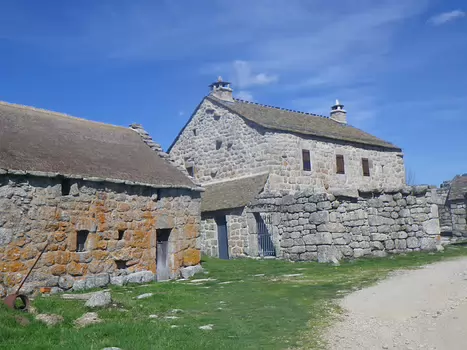 Stéphane Stéphane J, détail sortie