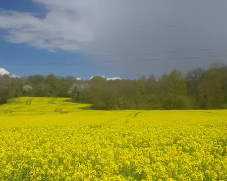La pluie et le soleil en même temps La pluie et le soleil en même temps.