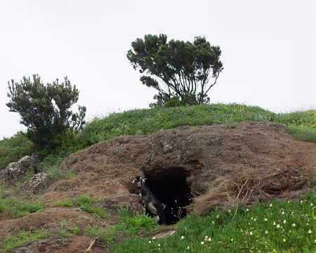 2016_04_25_10-40-31 Home, sweet home