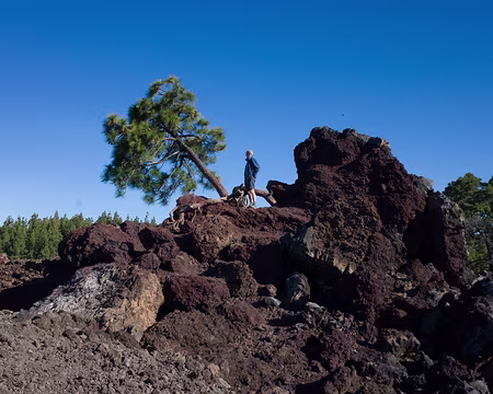 2016_04_27_09-33-13 J4 - En route vers le Parador, coulée de lave récente