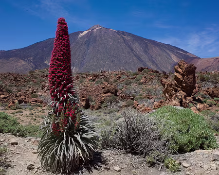 2016_04_27_14-41-46 Eschium et Teide