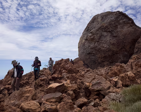 2016_04_28_14-21-18 Oeuf égaré