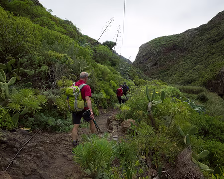 2016_04_29_09-14-58 J6 - À Anaga, de Chamorga vers Roque Bermejo