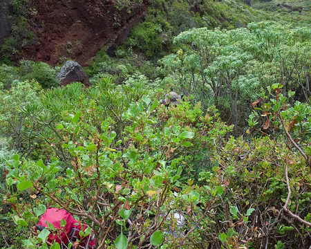 2016_04_30_12-01-06 Il y a trois randonneurs dans le maquis. Trouvez-les