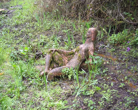 PXL008 Source de l'Yvette