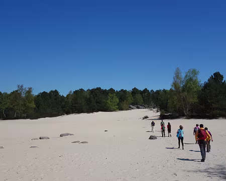 DSC00931 Cherchez le nuage...