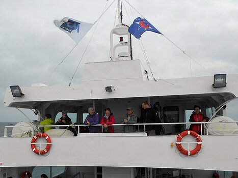 Pascale Pascale L, détail sortie