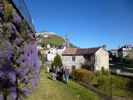 2016-05 Cantal méridional