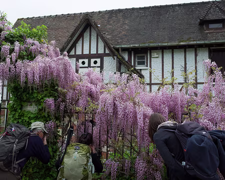 2016_05_14_11-05-30z1882