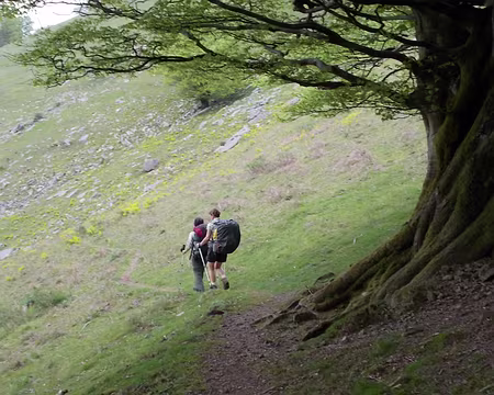 PXL016 Sur les pentes de la Rhune ...