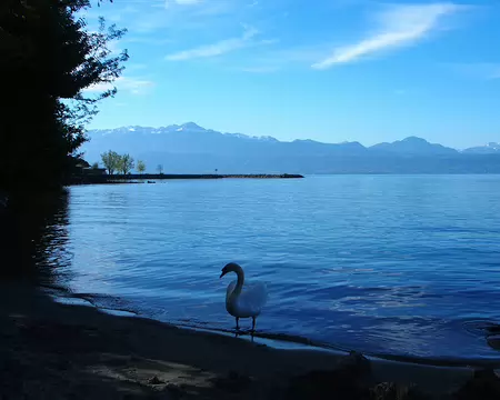 PXL076 De Lausanne à Morges