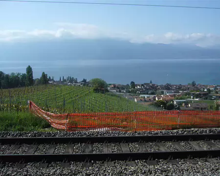 PXL018 Les vignes de Lavaux au bord du lac Léman